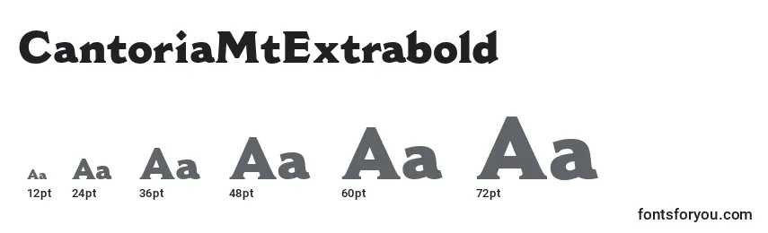 CantoriaMtExtrabold Font Sizes