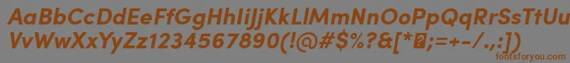 Police SofiaProBoldItalic – polices brunes sur fond gris