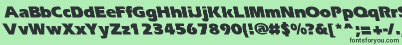 ErgoeblackbsRegular Font – Black Fonts on Green Background