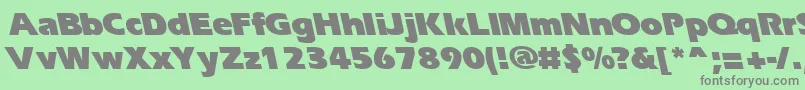 ErgoeblackbsRegular Font – Gray Fonts on Green Background