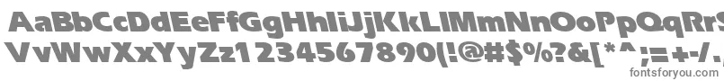 ErgoeblackbsRegular Font – Gray Fonts