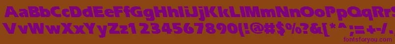 ErgoeblackbsRegular Font – Purple Fonts on Brown Background