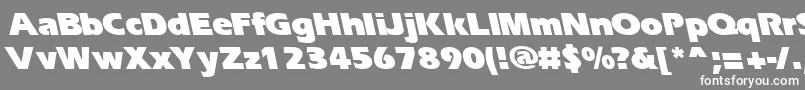 フォントErgoeblackbsRegular – 灰色の背景に白い文字