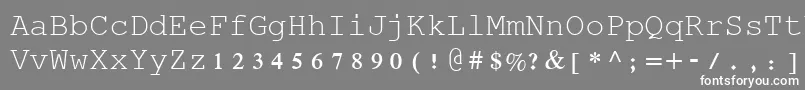 フォントRod – 灰色の背景に白い文字