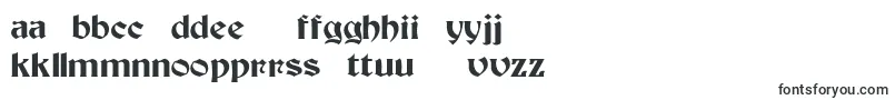 BeckerMedium Font – Lithuanian Fonts