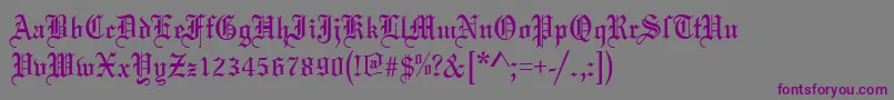 MarriageRegular Font – Purple Fonts on Gray Background