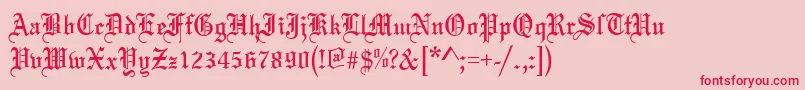 MarriageRegular Font – Red Fonts on Pink Background