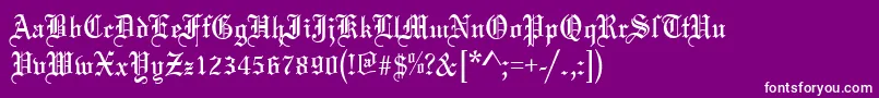 MarriageRegular Font – White Fonts on Purple Background