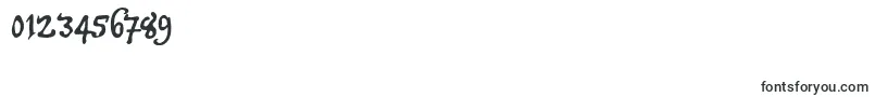 Tychrc2u Font – Fonts for Numbers and Digits