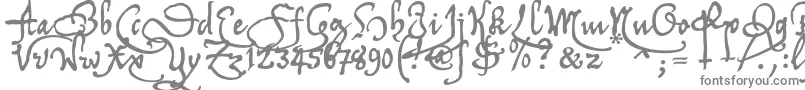 Tychrc2u-fontti – harmaat kirjasimet valkoisella taustalla