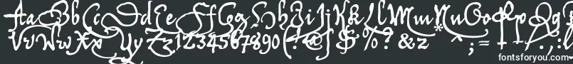 Tychrc2u-Schriftart – Weiße Schriften