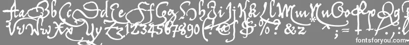 Tychrc2u Font – White Fonts on Gray Background