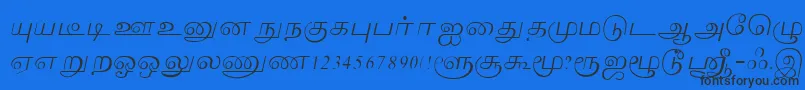 Lakshmi-Schriftart – Schwarze Schriften auf blauem Hintergrund