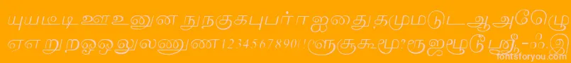 Lakshmi Font – Pink Fonts on Orange Background