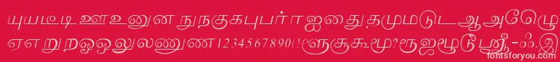 Lakshmi Font – Pink Fonts on Red Background