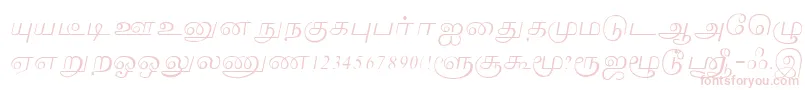 Lakshmi Font – Pink Fonts on White Background
