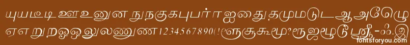 フォントLakshmi – 茶色の背景に白い文字