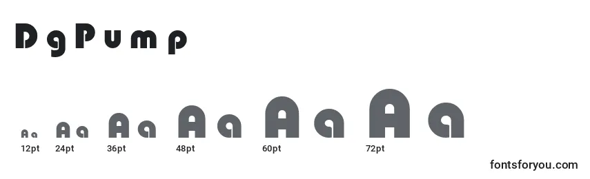DgPump Font Sizes