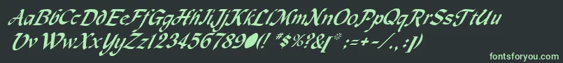 More about MachumaineItalic Font MachumaineItalic Font – Green Fonts on Black Background