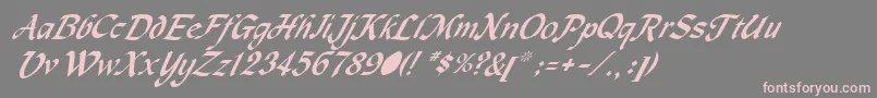 Czcionka MachumaineItalic – różowe czcionki na szarym tle