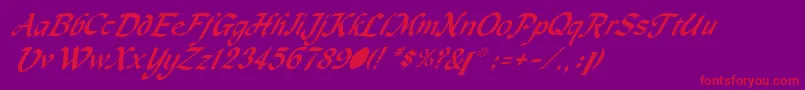 MachumaineItalic-Schriftart – Rote Schriften auf violettem Hintergrund