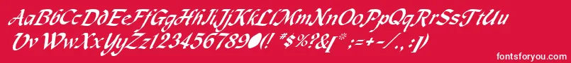 フォントMachumaineItalic – 赤い背景に白い文字