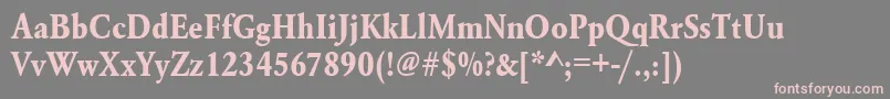 UrwgaramondtextnarBold Font – Pink Fonts on Gray Background