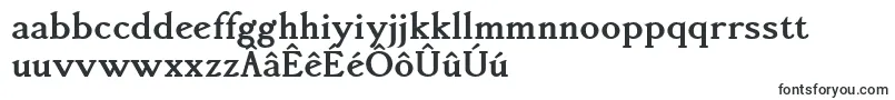 Accanthisadfstdno3Bold Font – Frisian Fonts