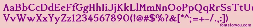 Accanthisadfstdno3Bold Font – Purple Fonts on Pink Background