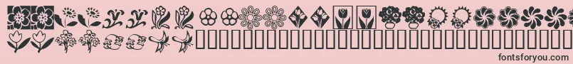 Czcionka KrKatsFlowers2 – czarne czcionki na różowym tle