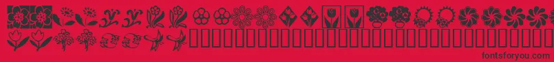 KrKatsFlowers2 Font – Black Fonts on Red Background