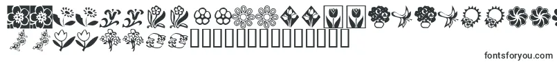 KrKatsFlowers2-Schriftart – friesische Schriften