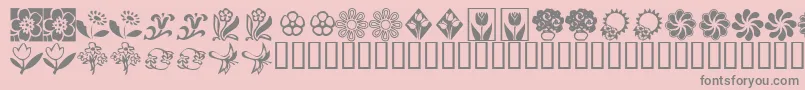 KrKatsFlowers2 Font – Gray Fonts on Pink Background