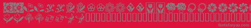 KrKatsFlowers2 Font – Gray Fonts on Red Background