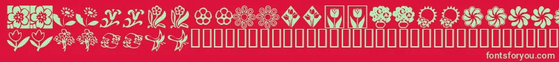 KrKatsFlowers2 Font – Green Fonts on Red Background