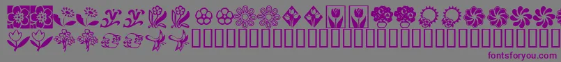 Czcionka KrKatsFlowers2 – fioletowe czcionki na szarym tle