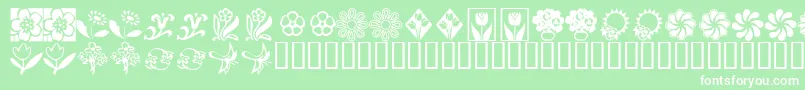 KrKatsFlowers2 Font – White Fonts on Green Background