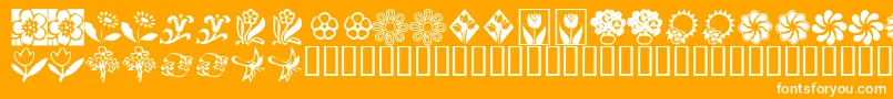 KrKatsFlowers2 Font – White Fonts on Orange Background
