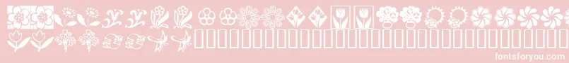 KrKatsFlowers2 Font – White Fonts on Pink Background