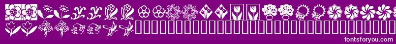 fuente KrKatsFlowers2 – Fuentes Blancas Sobre Fondo Morado