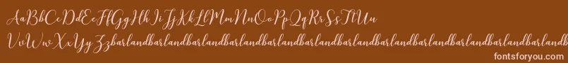 KissitaScriptDemo Font – Pink Fonts on Brown Background