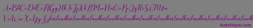 KissitaScriptDemo Font – Purple Fonts on Gray Background