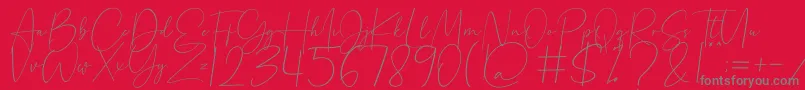 Beholder Font – Gray Fonts on Red Background