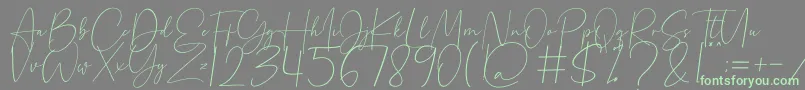 Beholder Font – Green Fonts on Gray Background