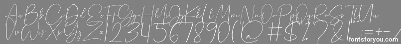 Beholder-Schriftart – Weiße Schriften auf grauem Hintergrund