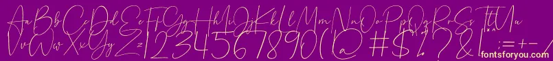 Beholder Font – Yellow Fonts on Purple Background