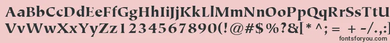 ItcTiepoloLtBlack Font – Black Fonts on Pink Background
