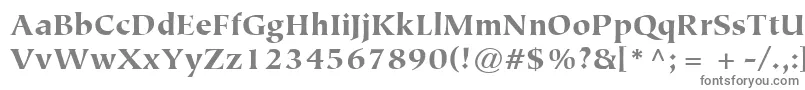 ItcTiepoloLtBlack-Schriftart – Graue Schriften
