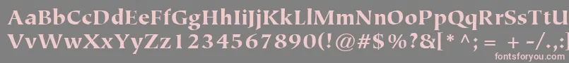 ItcTiepoloLtBlack Font – Pink Fonts on Gray Background