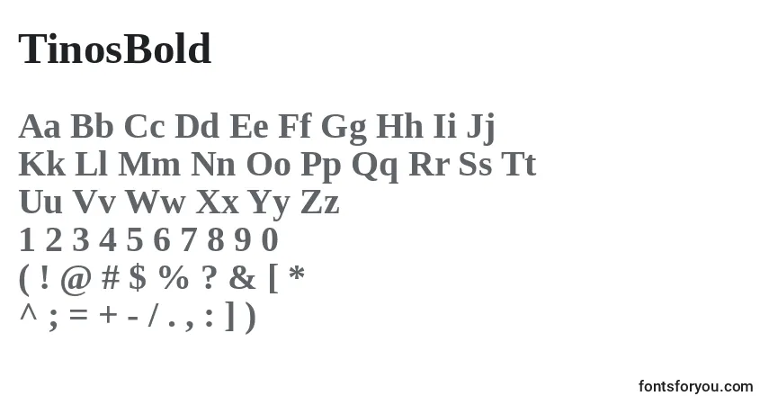 Czcionka TinosBold – alfabet, cyfry, specjalne znaki